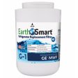 EarthSmart G-1 Refrigerator Replacement Filter For GE MWF Online now