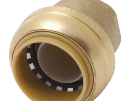 SharkBite 1 in. Push Brass End Stop Discount