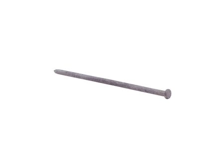 Grip-Rite 8 in. Spike Hot-Dipped Galvanized Steel Nail Flat Head 5 lb For Sale